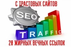 2025 Dodge Challenger EV Im happy I finally registered 262357-1